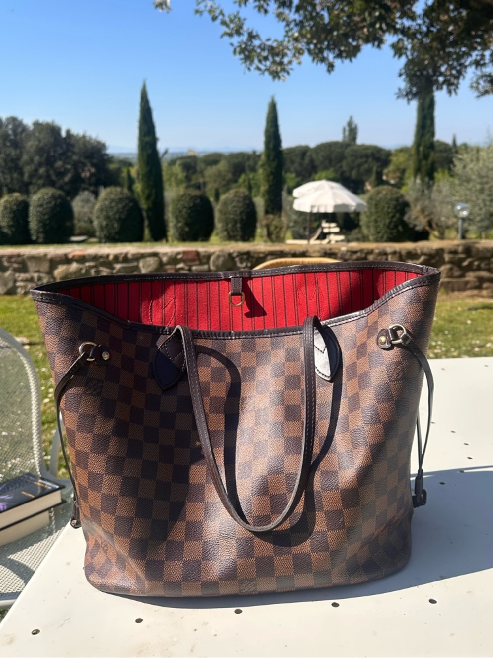 Louis Vuitton Damier Ebene Tote with Red Interior